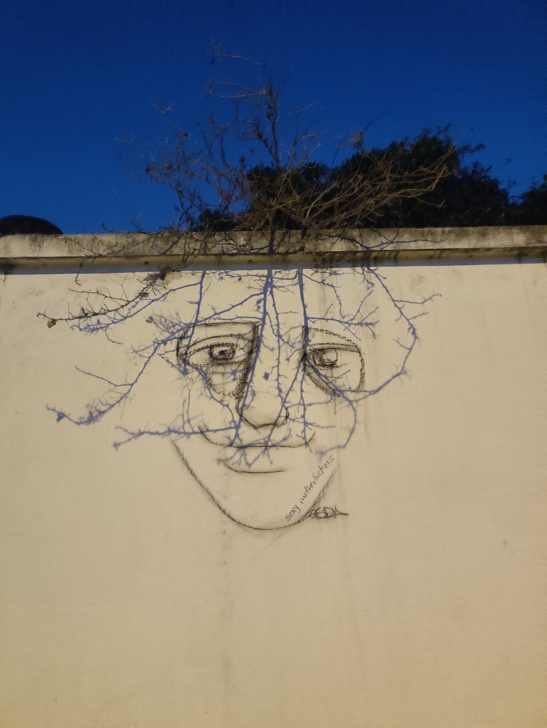 Portret twarzy w ziemistej kolorystyce